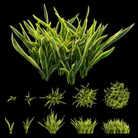 Sansevieria artificial snake plant